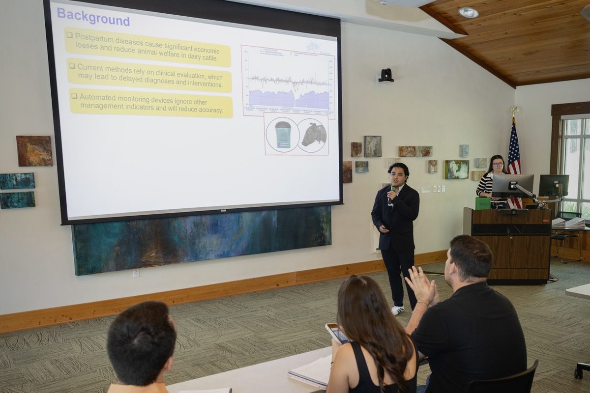 Angelo De Castro presenting an oral talk at the symposium