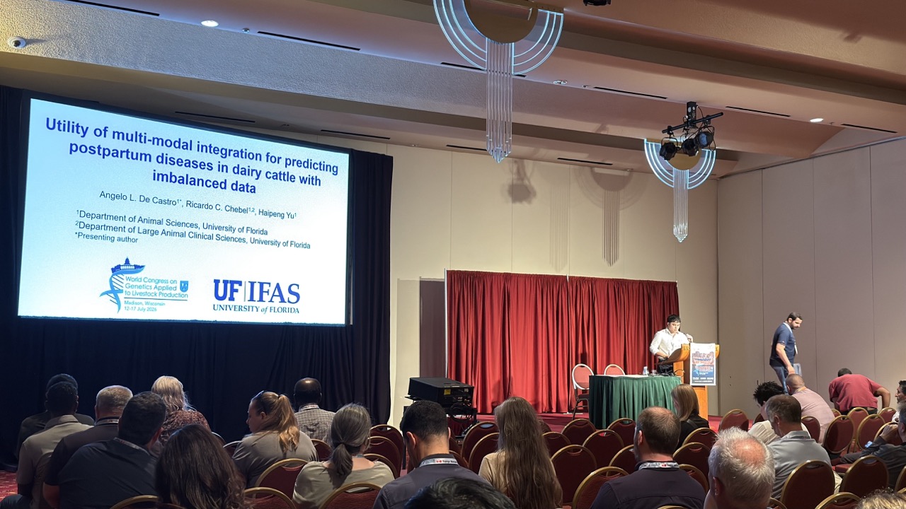 Angelo De Castro presenting at WCGALP with his title slide on screen